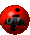 Orts-Index