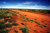 Warburton - Laverton Road, NT