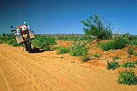 Old Andado Track, NT
