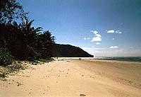 Cape Tribulation, QUE