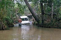 Eigentliche Furt des Gunshot Creeks