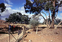 Piste zu den Flinders Ranges, SA