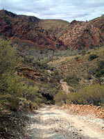 Scho Camp Track, Arcaroola, SA