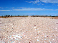 Birdsville Track