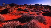 Red Center Australia: The Olgas